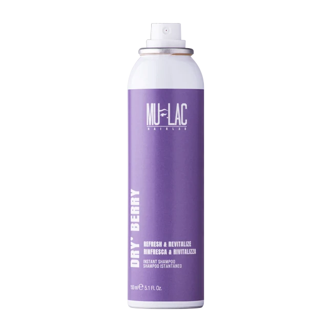 DRY’BERRY 10 - SHAMPOO SECCO