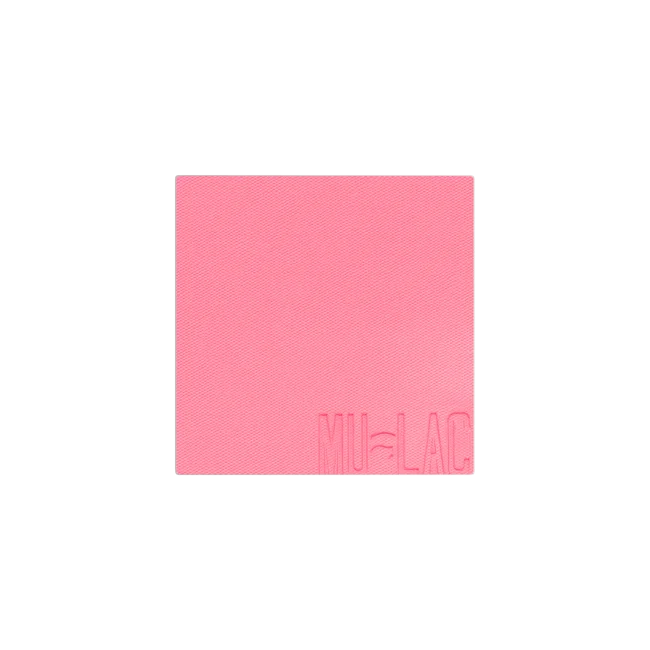 ARIEL REFILL - BLUSH IN POLVERE REFILL