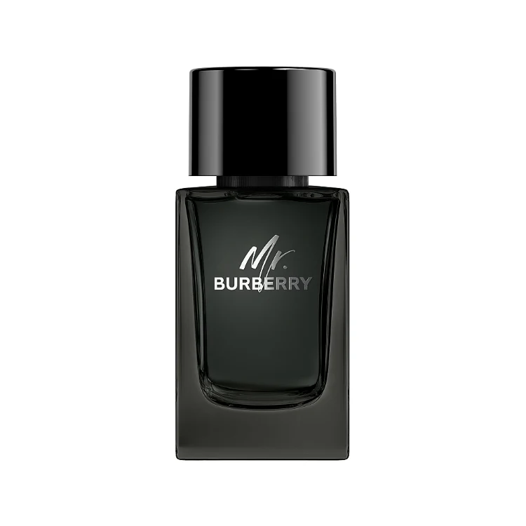 Burberry - Mr. Burberry - Eau de Parfum