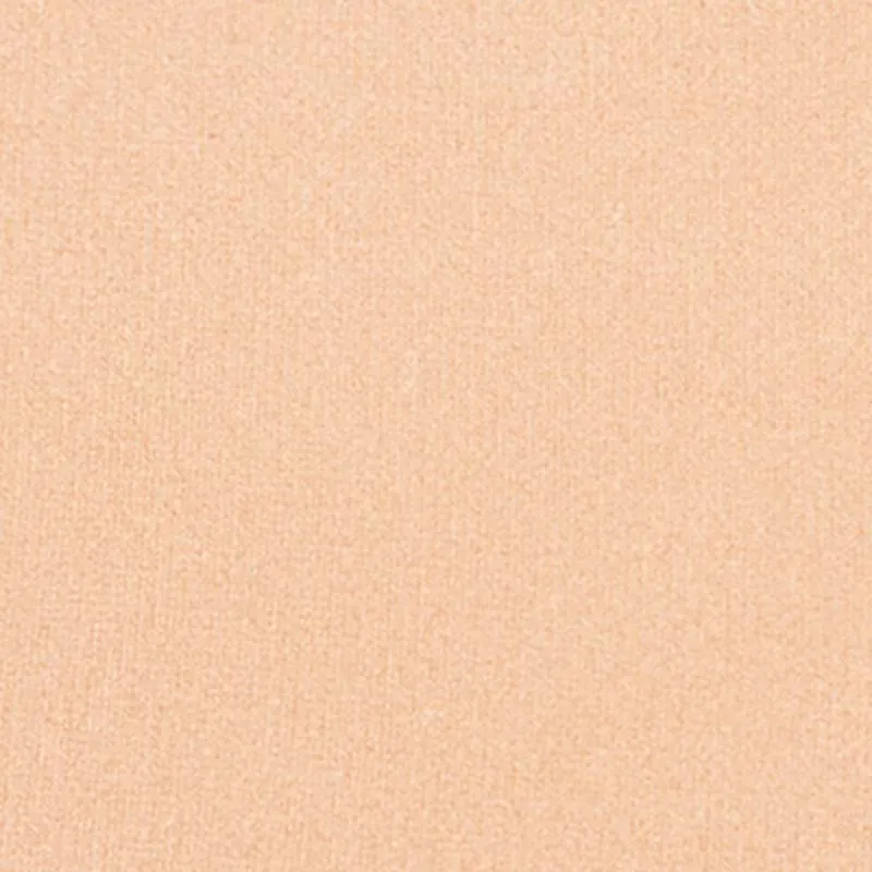 Silk feel Wet & dry Powder Foundation - Fondotinta Compatto in Polvere