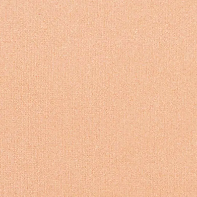 Silk feel Wet & dry Powder Foundation - Fondotinta Compatto in Polvere