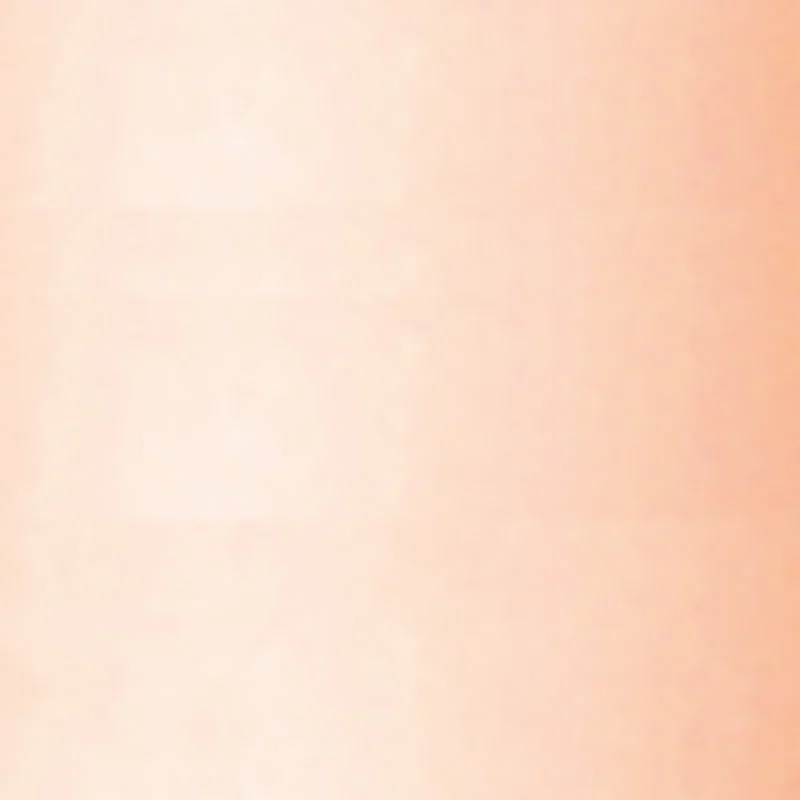 Radiance Maximizer & Primer - Collezione Primavera / Estate 2021 N. 348