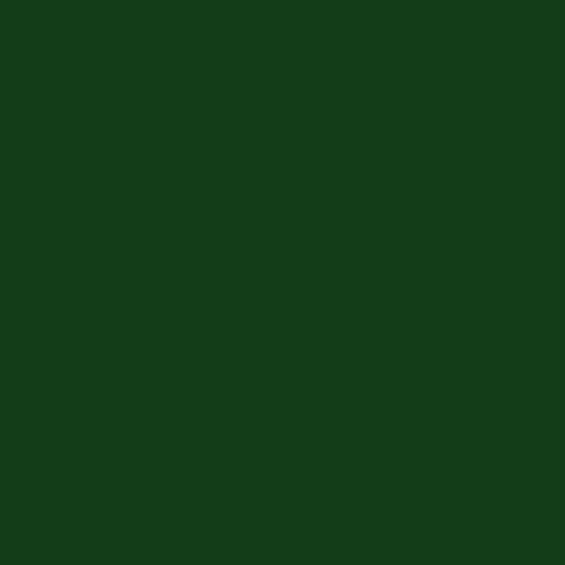 Green Ballet Eyeliner - Collezione Primavera / Estate 2021 N. 36