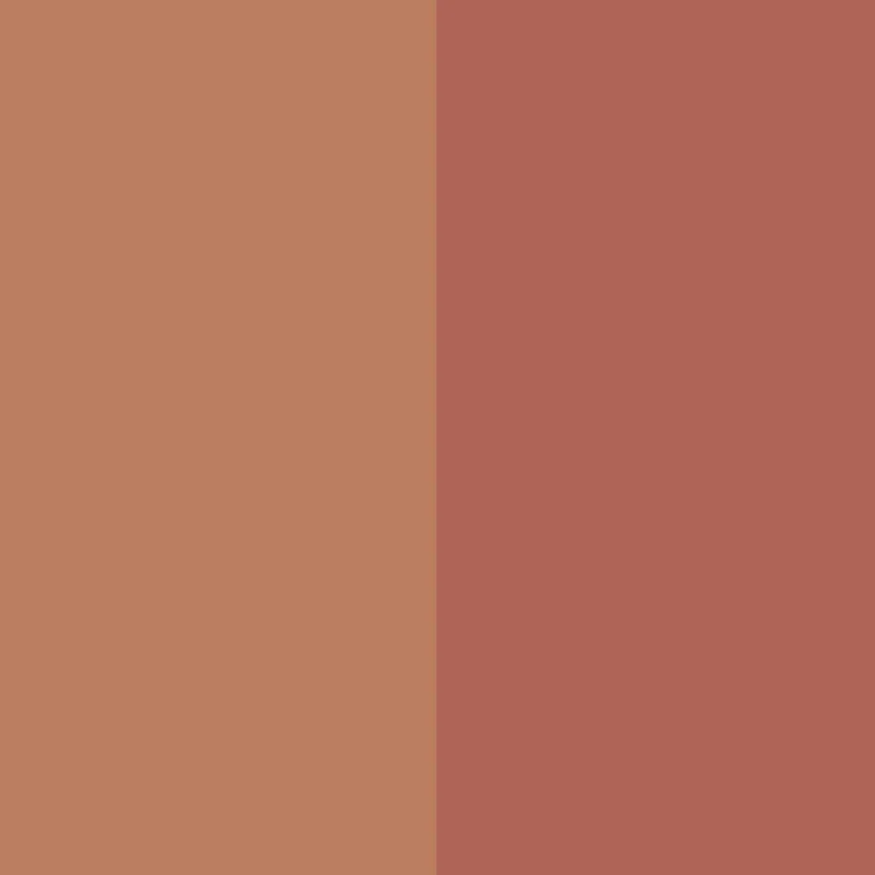 Universal Duo Shaping Face Palette - Collezione Autunno / Inverno 2020 346 Terracotta / Rosa Antico